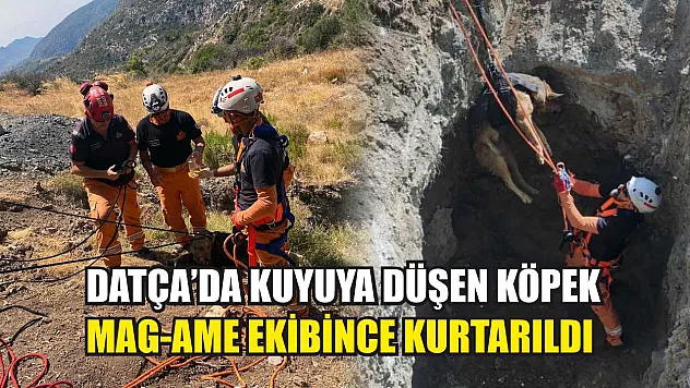 Datça'da kuyuya düşen köpek MAG-AME ekibince kurtarıldı