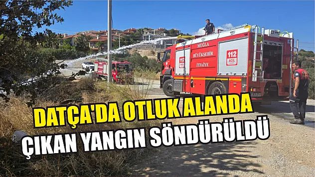 Datça'da otluk alanda çıkan yangın söndürüldü
