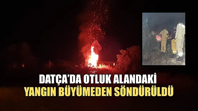 Datça'da otluk alandaki yangın büyümeden söndürüldü