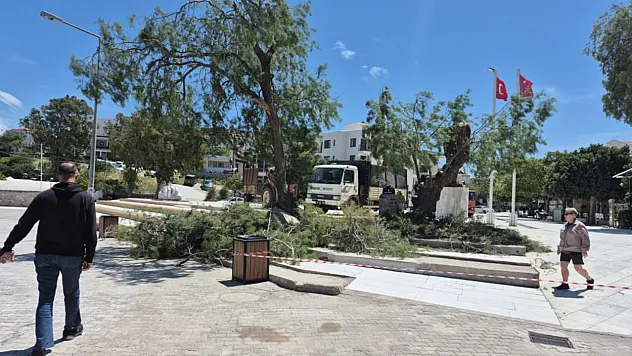 Datça'da rüzgar etkili oldu