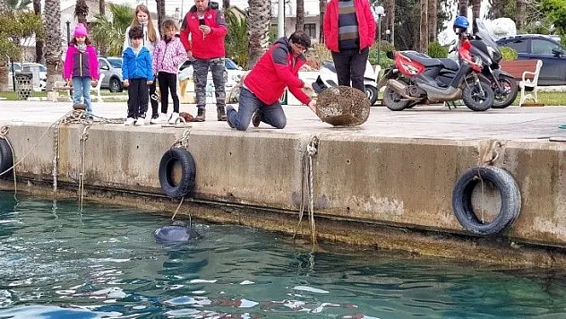 Datça'daki 4 limanda dip temizliği yapıldı