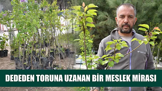 Dededen toruna uzanan bir meslek mirası
