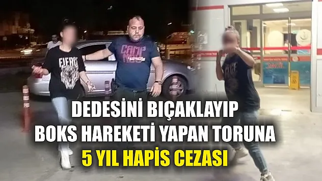 Dedesini bıçaklayıp boks hareketi yapan toruna 5 yıl hapis cezası