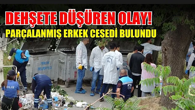Dehşete düşüren olay! Parçalanmış erkek cesedi bulundu
