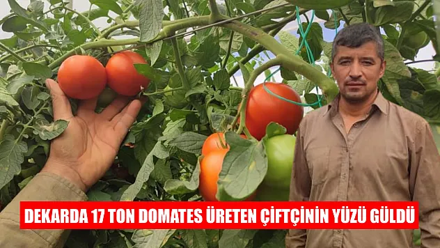 Dekarda 17 ton domates üreten çiftçinin yüzü güldü