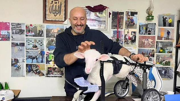 Demir ustası felçli canlara 'umut' oluyor: 9 yılda bin hayvanı ayağa kaldırdı