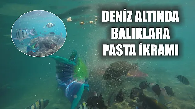 Deniz altında balıklara pasta ikramı