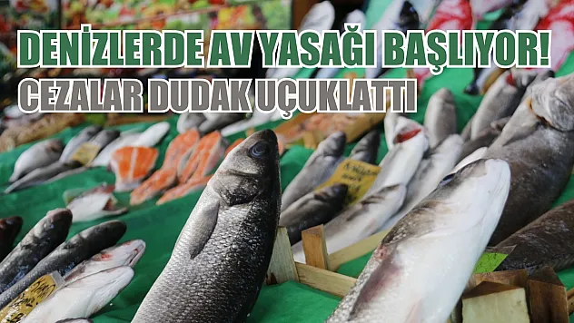 Denizlerde av yasağı başlıyor! Cezalar dudak uçuklattı