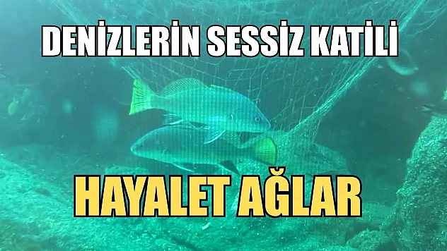 Denizlerin sessiz katili: Hayalet ağlar