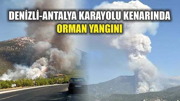 Denizli-Antalya Karayolu Kenarında Orman Yangını