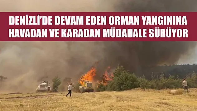 Denizli'de devam eden orman yangınına havadan ve karadan müdahale sürüyor