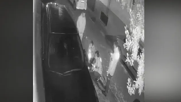 Denizli'de otomobilden yol kenarına atılan kadının yardım çığlıkları