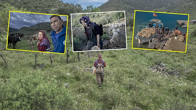 Denizli'den Dalaman'a: Çobanların 6 Aylık Sıra Dışı Göç Yolculuğu
