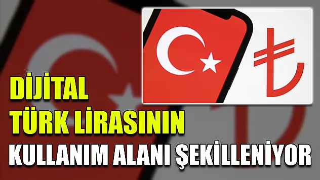 Dijital Türk lirasının kullanım alanı şekilleniyor