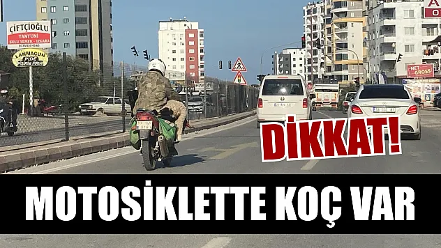 Dikkat: Motosiklette koç var