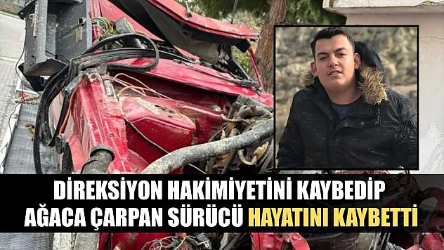 Direksiyon hakimiyetini kaybedip ağaca çarpan sürücü hayatını kaybetti