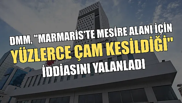DMM, 'Marmaris'te mesire alanı için yüzlerce çam kesildiği' iddiasını yalanladı