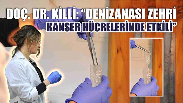 Doç. Dr. Killi: 'Denizanası Zehri Kanser Hücrelerinde Etkili'