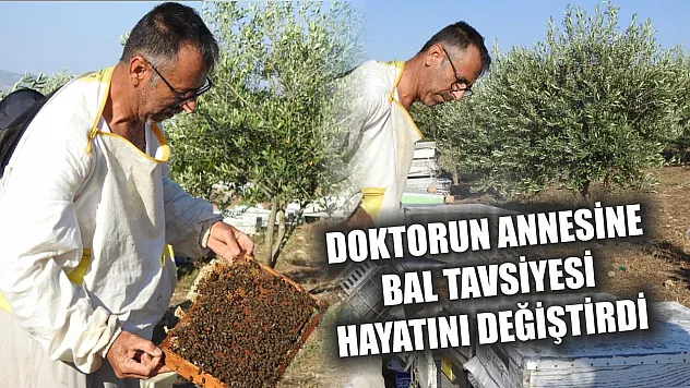 Doktorun annesine bal tavsiyesi hayatını değiştirdi