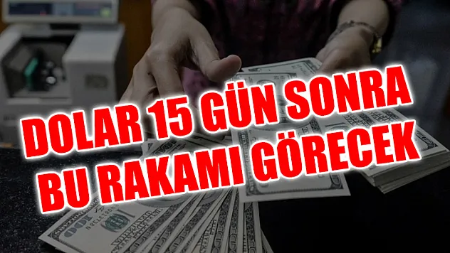 Dolar 15 Gün Sonra Bu Rakamı Görecek