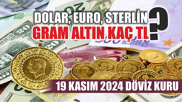 Dolar, euro, sterlin, gram altın kaç TL? 19 Kasım 2024 Döviz Kuru