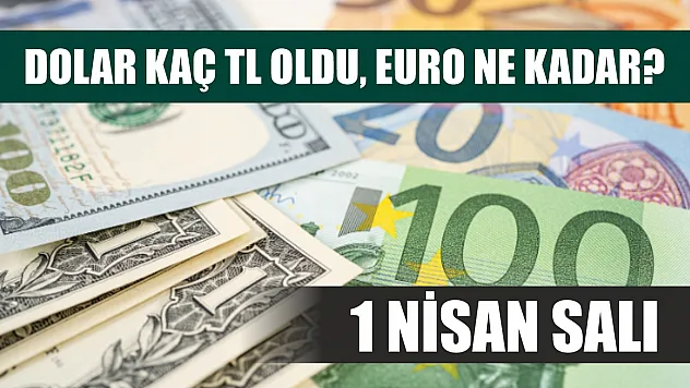Dolar kaç TL oldu, Euro ne kadar? 1 Nisan Salı