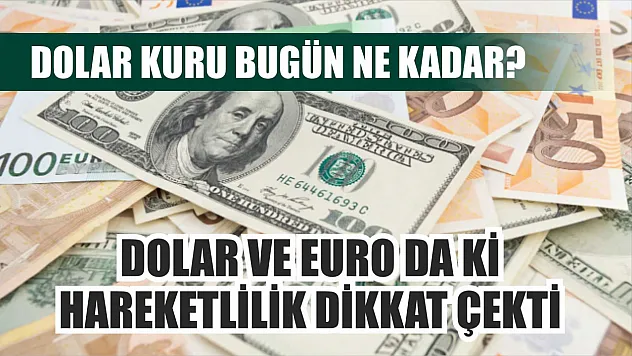 Dolar kuru bugün ne kadar? Dolar ve Euro da ki hareketlilik dikkat çekti