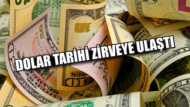 Dolar Tarihi Zirveye Ulaştı