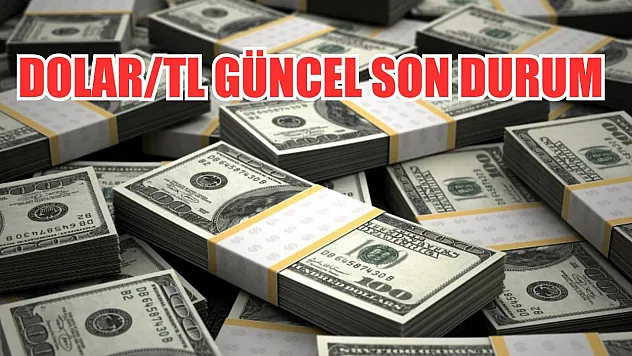 Dolar/TL güncel son durum