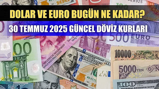 Dolar ve Euro bugün ne kadar? 30 Temmuz 2025 güncel döviz kurları
