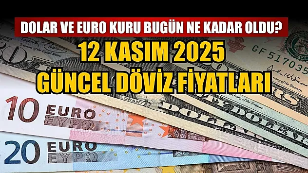 Dolar ve Euro kuru bugün ne kadar oldu?  12 Kasım 2025 güncel döviz fiyatları