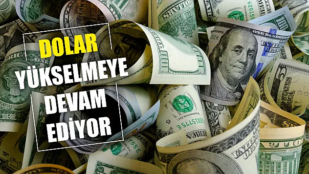 Dolar yükselmeye devam ediyor