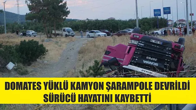 Domates yüklü kamyon şarampole devrildi: Sürücü hayatını kaybetti