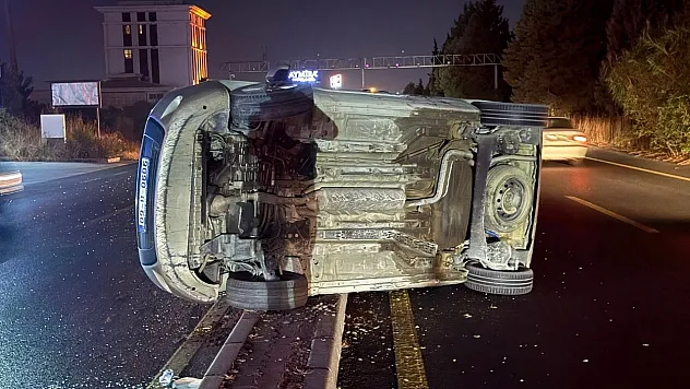 Domuza çarpmamak için manevra yaptı, takla attı
