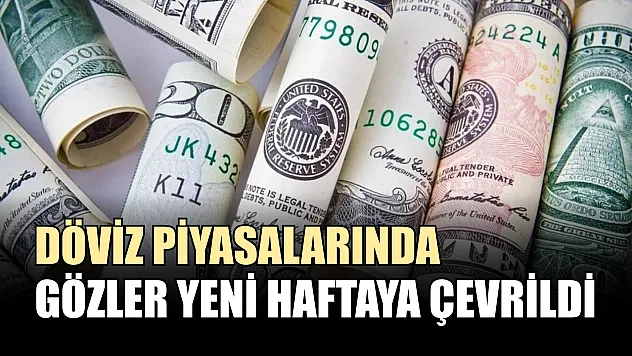 Döviz piyasalarında gözler yeni haftaya çevrildi