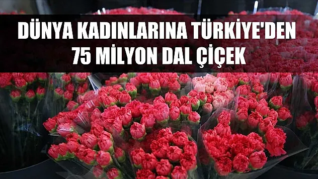 Dünya kadınlarına Türkiye'den 75 milyon dal çiçek