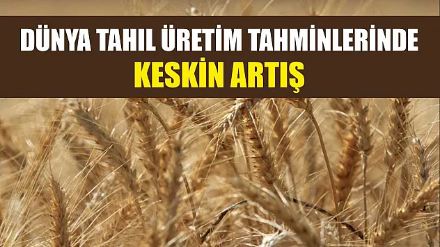 Dünya tahıl üretim tahminlerinde keskin artış