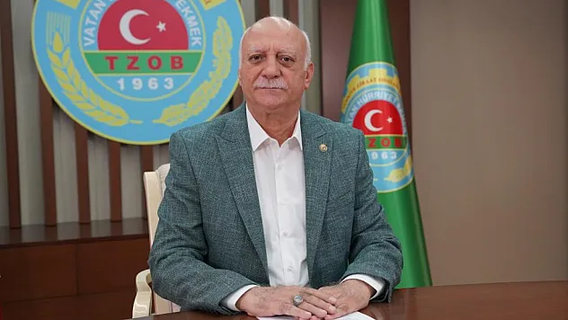 'Düşük limon fiyatları üreticiyi zarar ettiriyor'