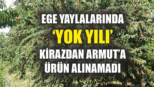 Ege Yaylalarında 'Yok Yılı': Kirazdan Armut'a Ürün Alınamadı
