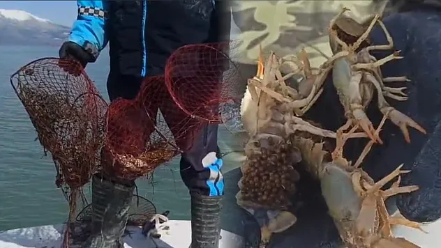 Eğirdir Gölü'nde kaçak pinterlere el konuldu, kerevitler göle bırakıldı