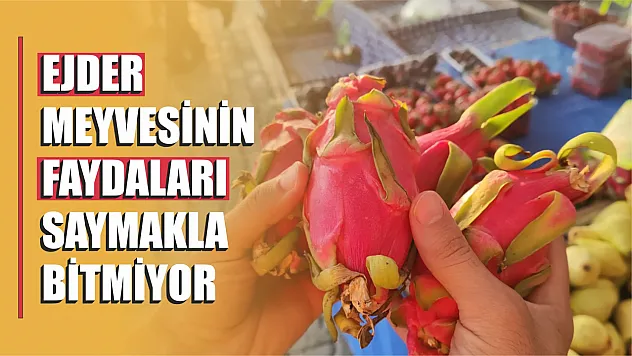 Ejder Meyvesinin faydaları saymakla bitmiyor