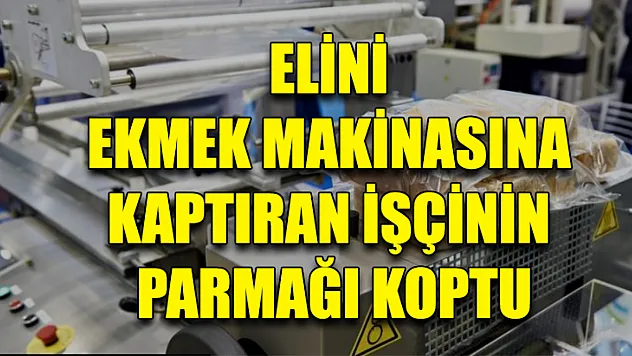 Elini Ekmek Makinasına Kaptıran İşçinin Parmağı Koptu