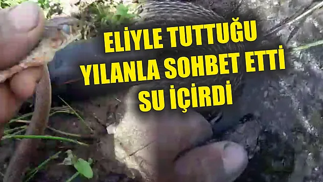 Eliyle tuttuğu yılanla sohbet etti, su içirdi