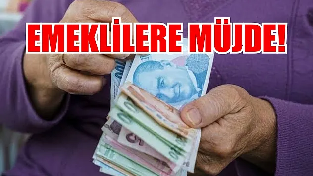 Emeklilere Müjde! Emekli Kartı Yeterli Olacak