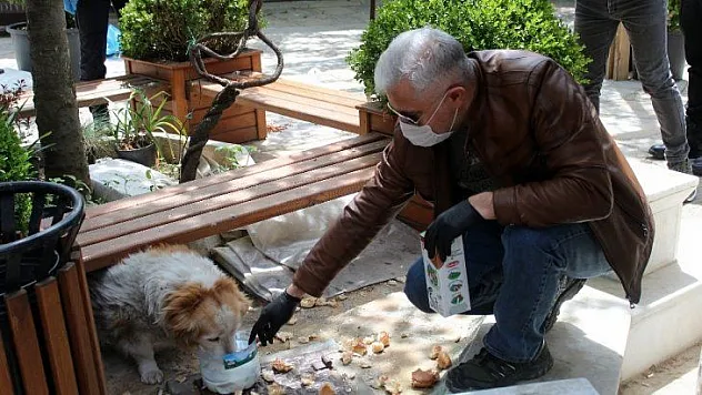 Emniyet müdürü aç kalan köpekleri elleriyle besledi