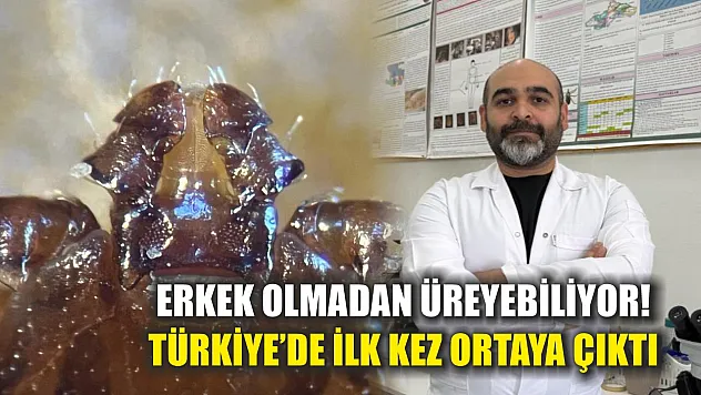 Erkek Olmadan Üreyebiliyor! Türkiye'de İlk Kez Ortaya Çıktı