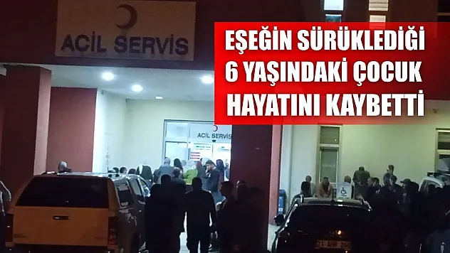 Eşeğin sürüklediği 6 yaşındaki çocuk hayatını kaybetti