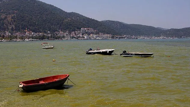 Eski Başkan Kandönmez, 'Körfezi Biz Temizledik, Yine Temizlenir' 