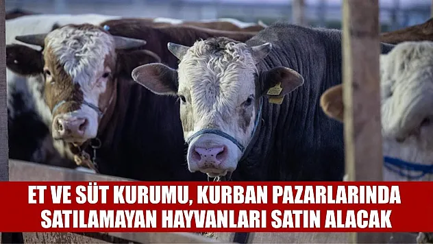 Et ve Süt Kurumu, kurban pazarlarında satılamayan hayvanları satın alacak