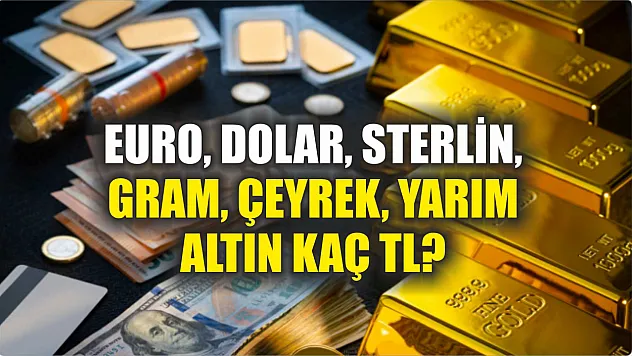 Euro, dolar, sterlin, gram, çeyrek, yarım altın kaç TL? 